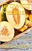 Growing Melons by albert swope