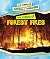 The Science of Forest Fires
