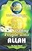 Calling People Unto Allah by Israr Ahmed