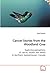 Cancer Stories from the Woodland Cree by Rose Roberts