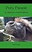 Pony Parade: A collection of short stories