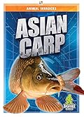 Asian Carp