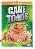 Cane Toads