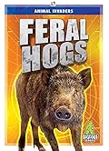 Feral Hogs