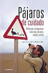 Pájaros de cuidad...