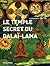 Le Temple secret du Dalaï-Lama (Beaux Livres) by Ian A. Baker