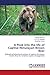 A Peak into the life of Captive Himalayan Brown Bear by Vimarsh Sharma