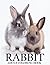 Rabbit Adult Coloring Book by Daniel Baldwin