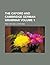The Oxford and Cambridge German grammar Volume 1 by Fred Hunt