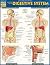 Anatomy of the Digestive Sy...