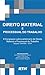 DIREITO MATERIAL E PROCESSUAL DO TRABALHO (Spanish Edition)