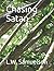 Chasing Satan (Benwarian Chronicles Book VI)