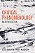 Critical Phenomenology: An Introduction