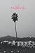 Notebook: California Palm Tree Filmy Photography Lined Notebook