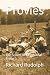 Provies: The Scouts of Provisional Troop 1