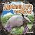 Inside an Armadillo's Burrow