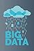Big Data: data science