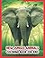 New Jungle Animals Coloring Book For Kids by SB Printing Zone