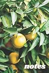Notes: Summer lemons film photography inspired blank lined notebook