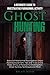 Ghost Hunting: A Beginner's Guide To Investigating Paranormal Activity