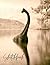 Sketchbook: Loch Ness Monster