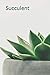 Succulent