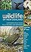Wildlife of New Zealand