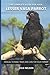 The complete guide for your Lesser Vasa Parrot by Cole Nelson