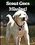 Scout Goes Missing!