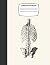 Composition Book: Vintage Human Anatomy Illustrations College Ruled - Notebook - Journal - 120 page - 8.5x11 - Spine
