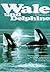 Wale und Delphine