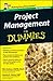 Project Management for Dumm...