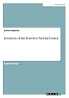 Evolution of the Posterior Parietal Cortex