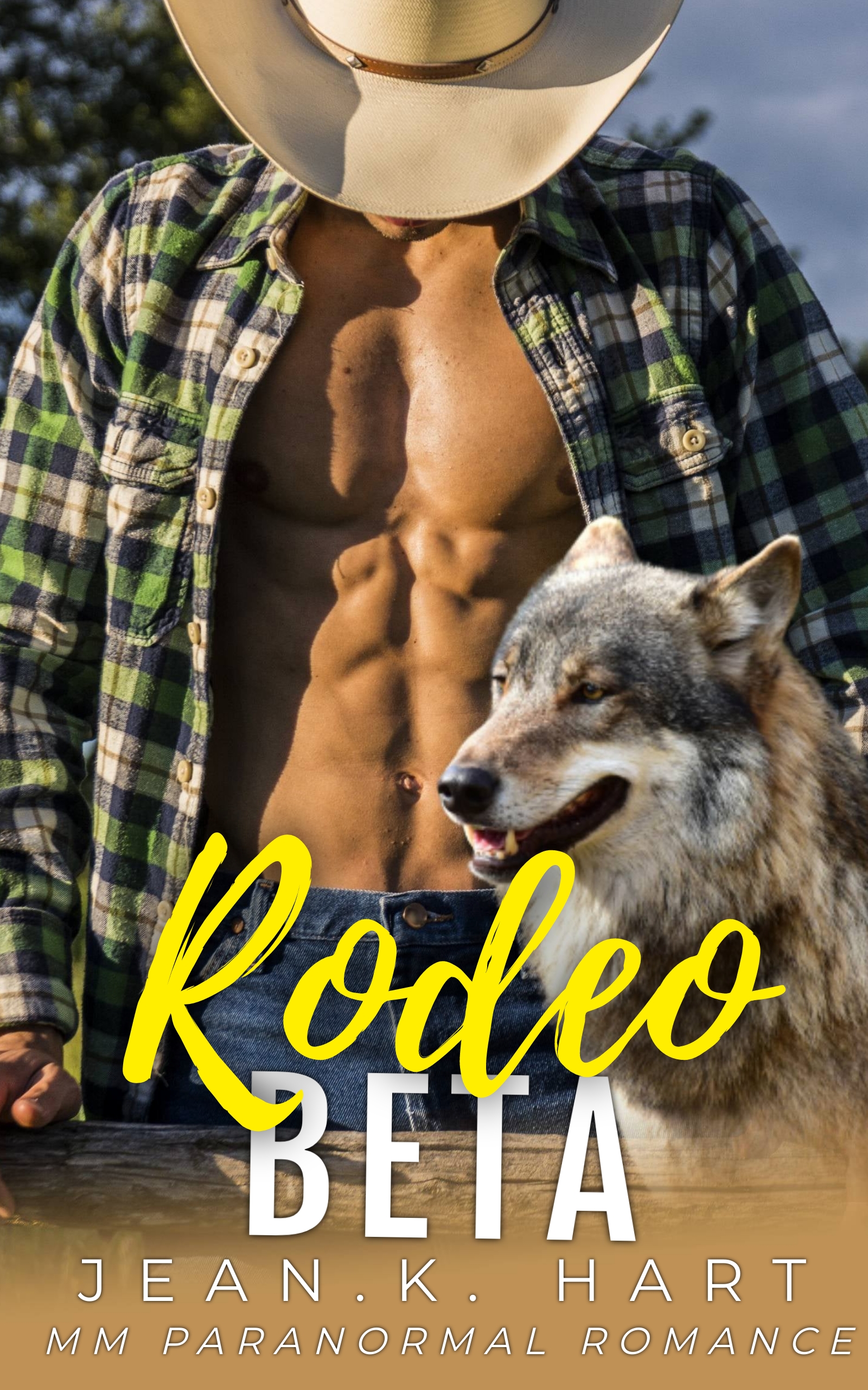 Rodeo Beta (Whiskey & Scars #2)