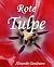 Rote Tulpe