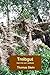 Treibgut