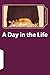 A Day in the Life by John McCafferty
