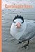 Contemplations: Journal