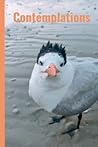 Contemplations: Journal Contemplations: Journal