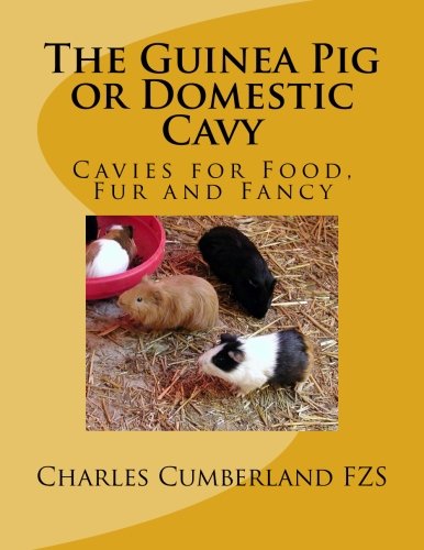The Guinea Pig or Domestic Cavy: Cavies for Food, Fur and Fancy (Paperback)
