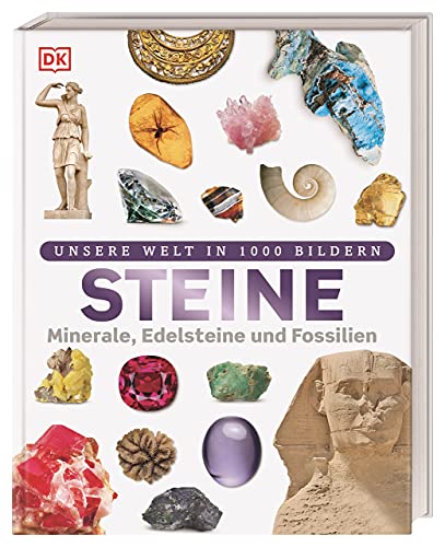Steine: Minerale, Edelsteine und Fossilien in über 1000 Bildern (Hardcover)
