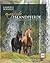 Magische Islandpferde: Eine Liebeserklärung an Pferde, Land und Leute