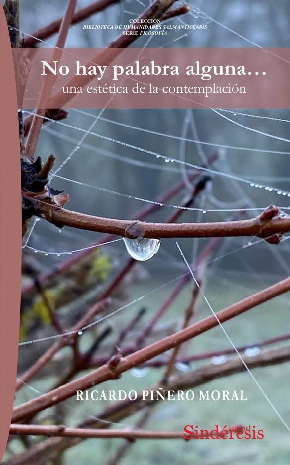 NO HAY PALABRA ALGUNA… UNA ESTÉTICA DE LA CONTEMPLACIÓN (Paperback)