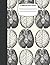 Composition Book: Vintage Human Anatomy Illustrations College Ruled - Notebook - Journal - 120 page - 8.5x11 - Brains