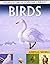 Birds by Pallabi B. Tomar