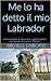 Me lo ha detto il mio Labrador by Michele Caricato