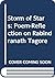 Storm of Stars: Poem-Reflec...