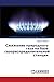 Szhizhenie prirodnogo gaza na baze gazoraspredelitel'noy stan... by Mikhail Lebedev