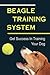 Beagle Training System: Get Success In Training Your Dog