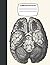Composition Book: Vintage Human Anatomy Illustrations College Ruled - Notebook - Journal - 120 page - 8.5x11 - Brain